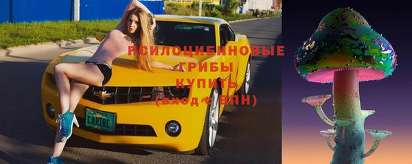 скорость Вяземский
