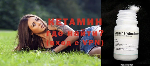 прущие грибы Вязьма