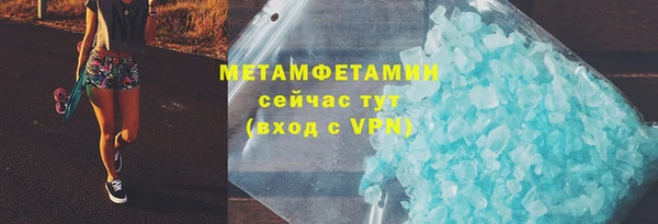 прущие грибы Вязьма