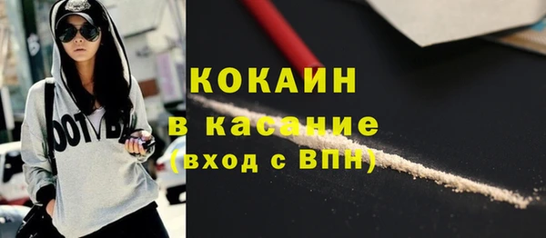 прущие грибы Вязьма