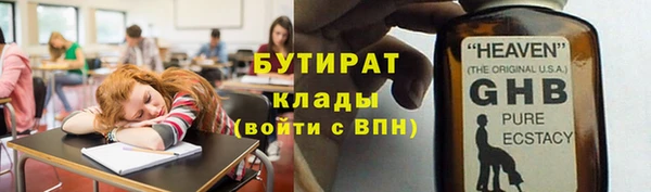 прущие грибы Вязьма