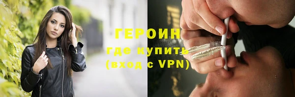 прущие грибы Вязьма