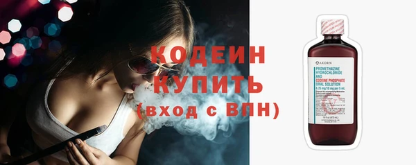 скорость Вяземский