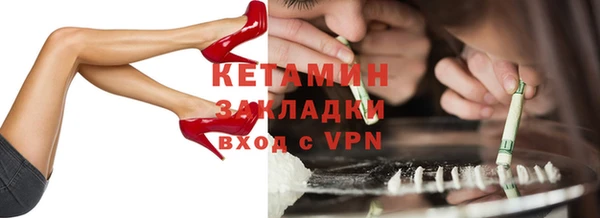 прущие грибы Вязьма