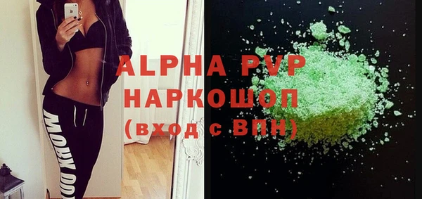 скорость Вяземский