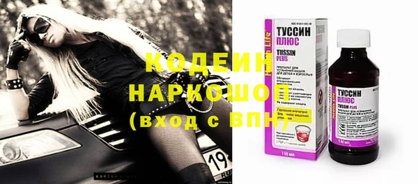 прущие грибы Вязьма