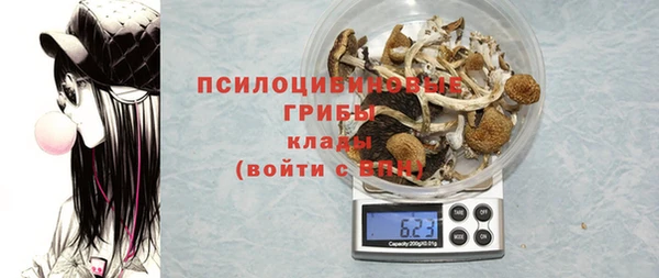 прущие грибы Вязьма