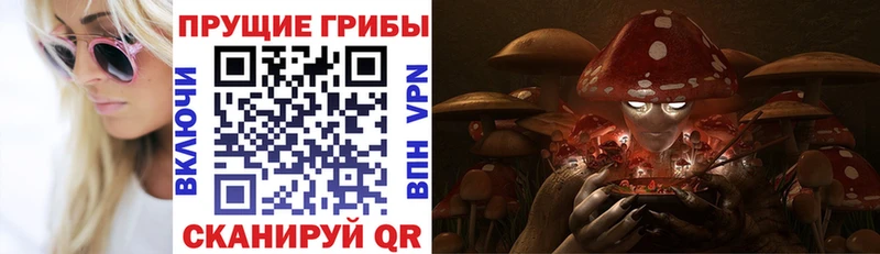 Псилоцибиновые грибы прущие грибы  Купить  Аша 